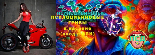 ешки Алзамай