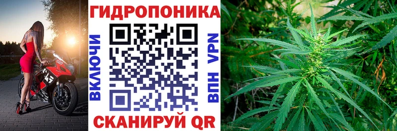Каннабис ГИДРОПОН Нолинск